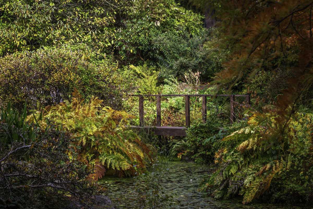 Botanical Gardens, Birmingham